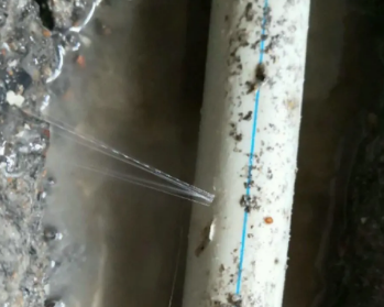 青冈卫生间测漏水多少钱